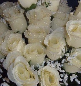 Silk Rose Flowers w/Raindrops Wedding Flowers, Ivory, Set of 84