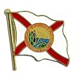 Florida Flag Lapel Pin