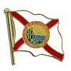 Florida Flag Lapel Pin