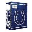 Indianapolis Colts NFL Medium Gift Bag (9.75 Tall)"