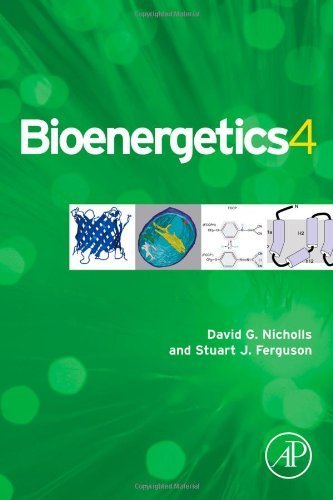 Bioenergetics by Nicholls, David G. (2013) Paperback