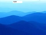 [For testing] test1 (2)