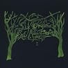 Image of album by Six Organs of Admittance