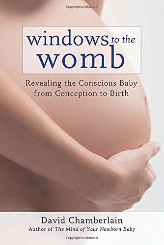 Windows to the Womb: Revealing the Conscious Baby from Conception to Birth