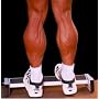 Extreme Calf Machine