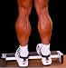 Extreme Calf Machine