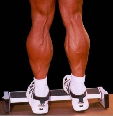 Extreme Calf Machine