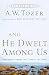 And He Dwelt Among Us: Teachings from the Gospel of John