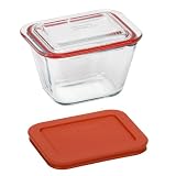 Pyrex 19