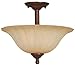 Hardware House 543652 Madrid 15-Inch by 12-1/4-Inch Ceiling Lighting Fixture Antique Bronze