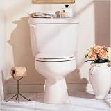 Bundle-60 Cadet Right Height 14 Elongated Toilet (Set of 2) Finish: Silver
