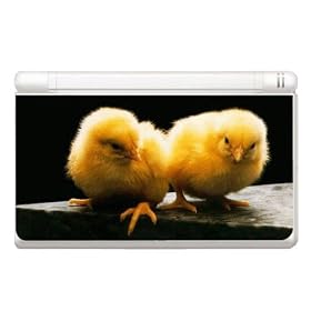 Animal Kingdom Chicks Chicken Decorative Protector Skin Decal Sticker for Nintendo DS Lite