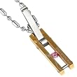 Precious Love Hidden Gem Cubic Zirconia Stainless Steel Gold Tone Pendant Necklace