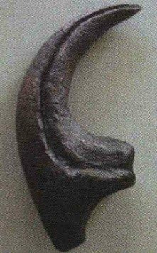 Allosaurus Claw Replica