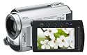 JVC Everio GZ-MG330 30GB Hard Disk Drive Camcorder with 35x Optical Zoom (Silver)