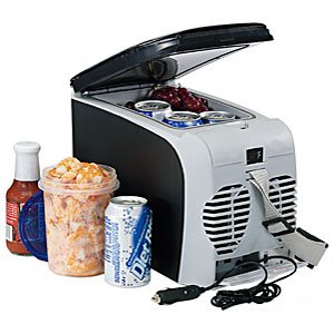 Nine Can Auto Fridge/Warmer