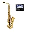 Selmer Prelude AS711 Student Alto Saxophone w/ Bonus Instrument Store Instrument Tuner