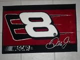 #8 DALE EARNHARDT JR. 20X30 FLOOR MAT
