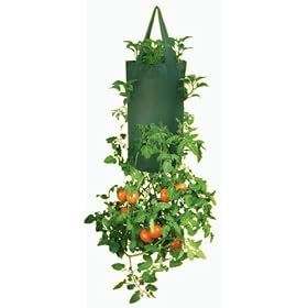 2 Pk Hanging Tomato Planter Also, Veg, peppers, Flowers