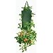2 Pk Hanging Tomato Planter Also, Veg, peppers, Flowers