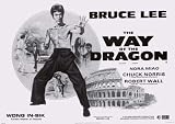 Bruce Lee Way of the Dragon 24x34 Poster