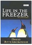 Life in the Freezer [Region 2]
