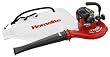 Factory-Reconditioned Homelite 26cc MightyLite Gas Blower/Vac ZR08550