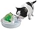 Cats Rule Frog Watering Hole Water Fountain, White and Green