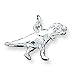 Sterling Silver T-Rex Charm with 20 inch Sterling title=