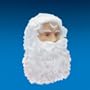 Santa Claus Wig & Beard
