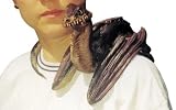 Shoulder Baby Dragon