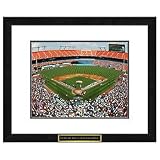 Florida Marlins MLB Framed Double Matted Stadium Print