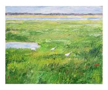 Whooping Crane Family feeding - Rockport TX Animals Giclee Poster Print by TD Wilson, 24x20