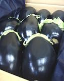 �Ʋػ�(�٤��ʤ�) 2.5kg