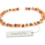 Bernstein Halsband f�r Hunde und Katzen Bernsteinkette Zeckenhalsband Zeckenschutz 35cm
