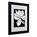 Trademark Fine Art Magnolia Canvas Wall Art by Michael Harrison with Black Frame, 11 by 14-Inch
