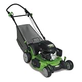 Lawn-Boy Insight Gold Series 21-Inch Honda 160 OHV Gas Powered Engine Self-Propelled Lawn Mower with Sens-a-Speed (Non-CARB Compliant) #10695