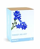 Gift Republic Grow It. Grow Your Own Forget Me Not