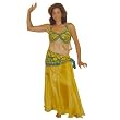 Gold Silk Full Circle Skirt