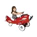 Sky King Pedal Plane Red Air Flow Collectible