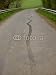 Wallmonkeys Peel and Stick Wall Decals - Accident De La Route - Removable Graphic
