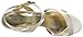 Nine West Women's Genevra Satin Dress Pump