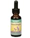 Herbs for Kids Echinacea/Astragalus, 4 Ounce