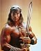 Arnold Schwarzenegger Conan the Barbarian 16x20 Photo