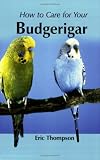 How to Care for Your Budgerigar (Your first...series)