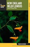 New England Wildflowers: A Guide to Common Plants (Falcon Guide)