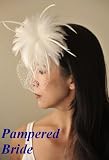 Bird cage Feather fascinator Bridal Wedding Veil headpiece