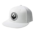 Dragon Corp Hat
