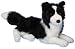 Betsy Border Collie 19