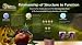 Relationship Of Structure To Function Education Laminated Poster Print, 17x32
